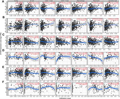 Pan-cancer analysis of prognostic and immunological role of DTYMK in human tumors